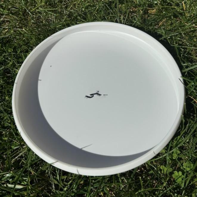 The Ultimate Frisbee® by AJ Merriman