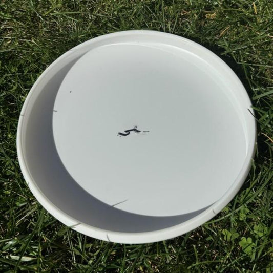 The Ultimate Frisbee® by AJ Merriman