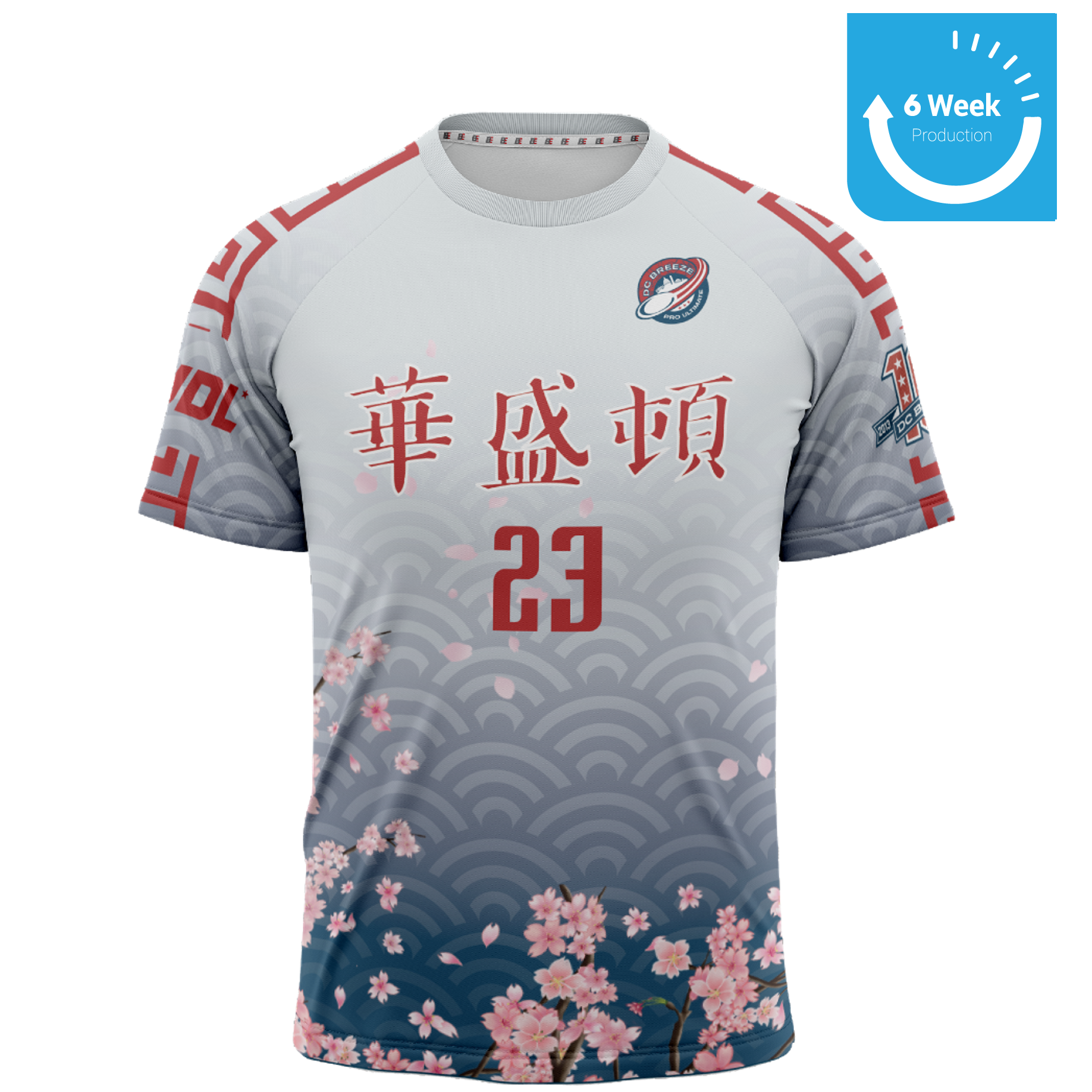 AAPI Heritage Jersey (customizable, link to order in product description)
